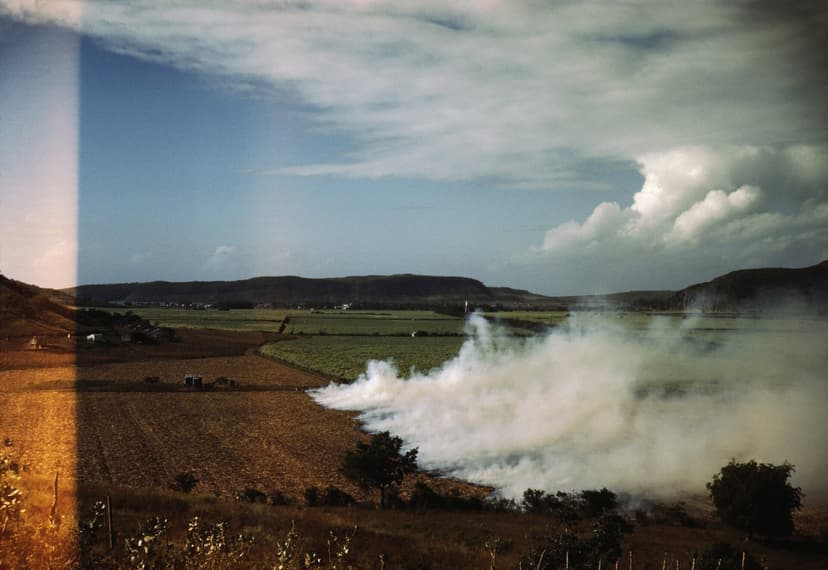 Real sugarcane burning, but not in Florida: a cane field burning near Guánica, Puerto Rico, 1942. Jack Delano, Library of Congress, public domain.