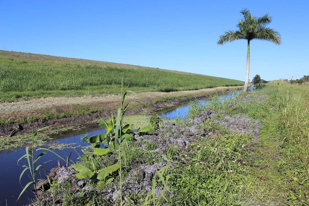 Real Florida: the Herbert Hoover Dike at Canal Point, photographed by SwampElitist, CC BY-SA 4.0.