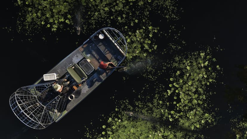 GTA VI: official Rockstar screenshot of an airboat surrounded by alligators in Grassrivers, seen from above.