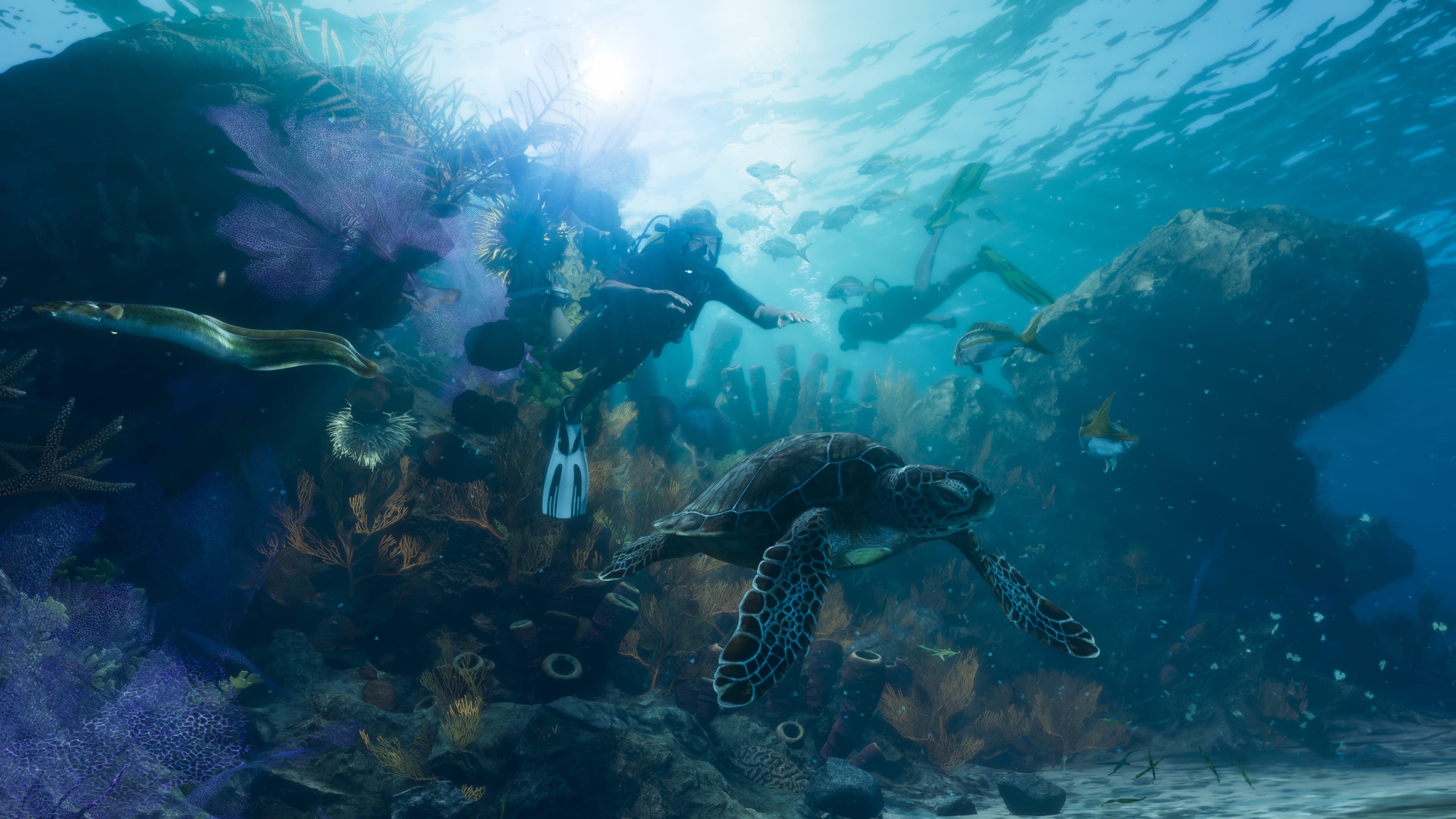 Divers swim over a coral reef next to a sea turtle in the waters of the Leonida Keys