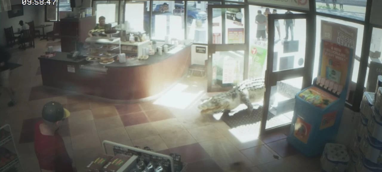 Caimán entrando en una tienda de conveniencia en el montaje de videos sociales del Tráiler 1 oficial